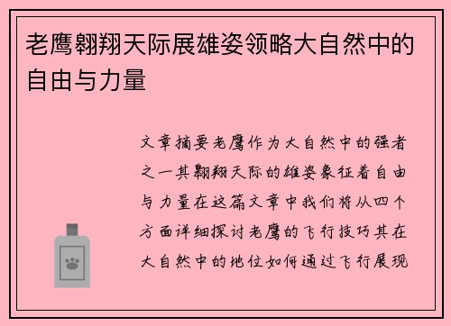 老鹰翱翔天际展雄姿领略大自然中的自由与力量